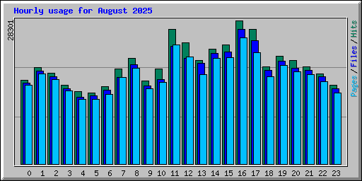 Hourly usage for August 2025