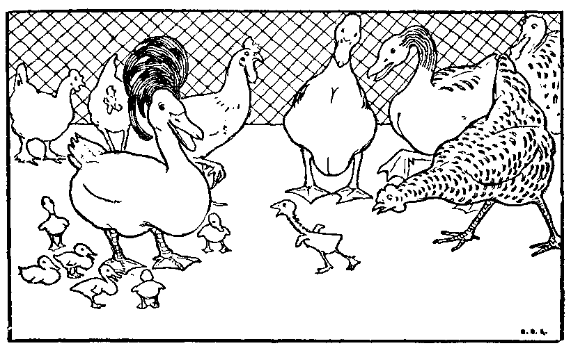 THE UGLY DUCKLING