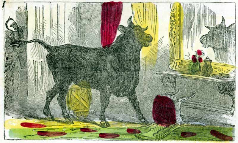 Bull in Mirror