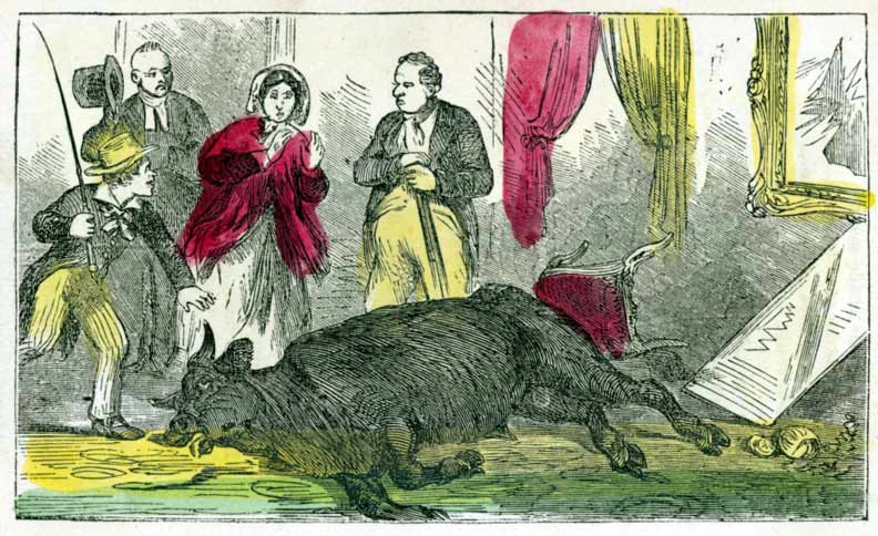 Dead Bull in Parlor