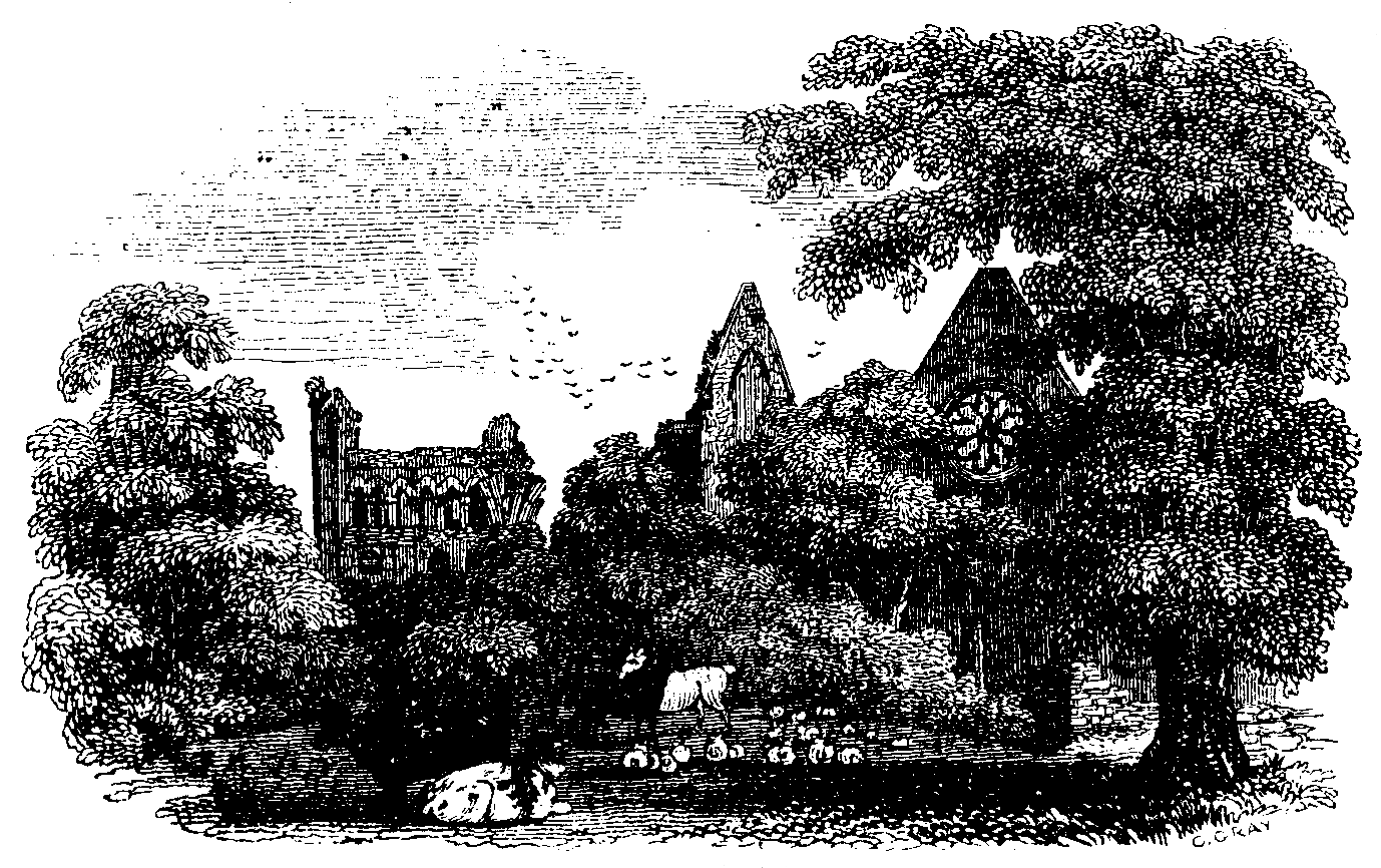 Dryburgh Abbey.