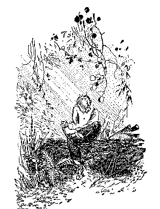 He sat on a log and slowly lifted up his foot, twisting his face into an agonized knot
