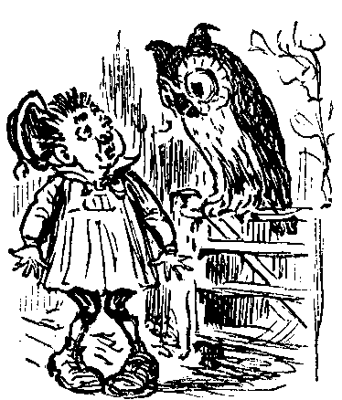 owl and person