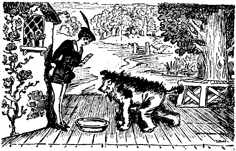Pantomime fauna.