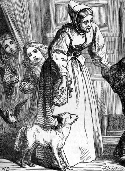 Widow and Bear