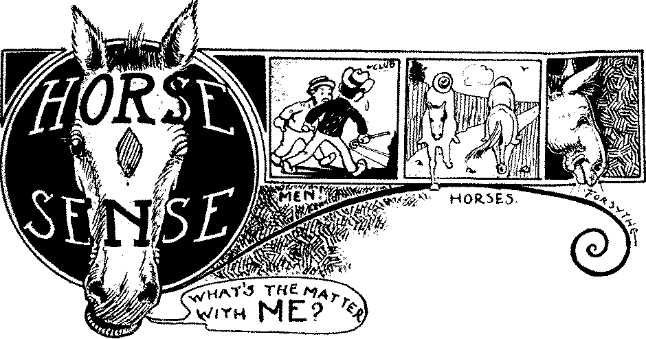 Horse Sense.