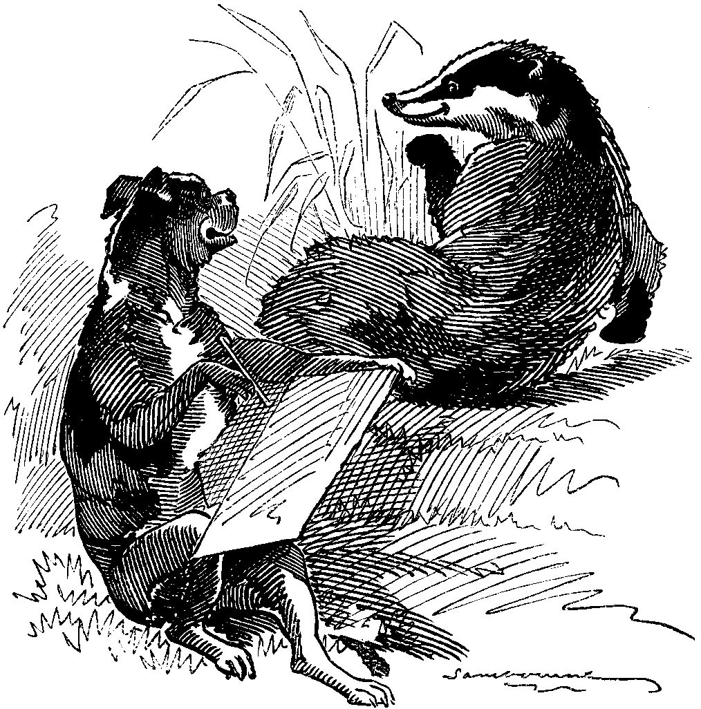 <h3>OUR SPORT AND ART EXHIBITION.</h3>DRAWING A BADGER.