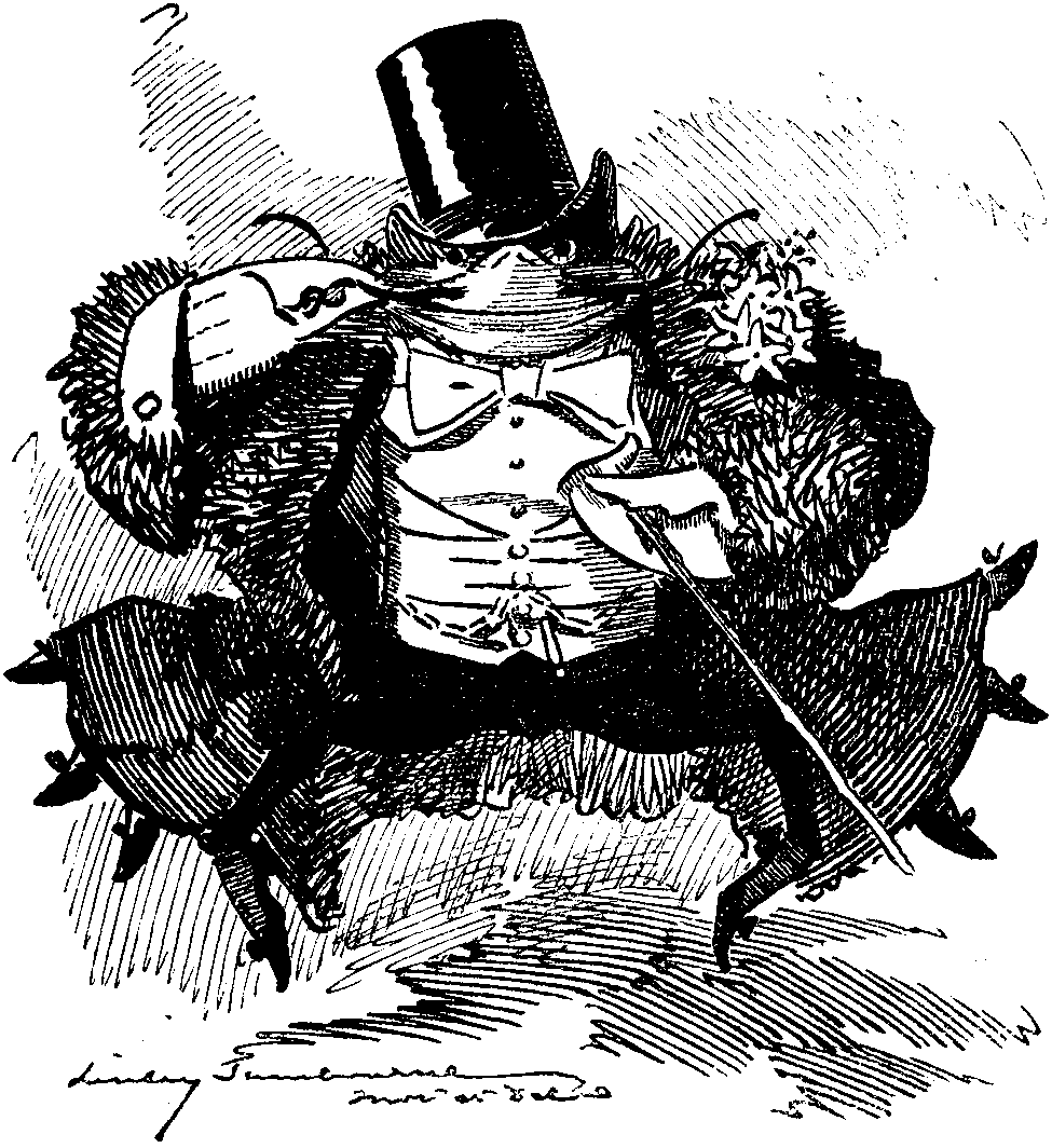 Dressed-Crab.