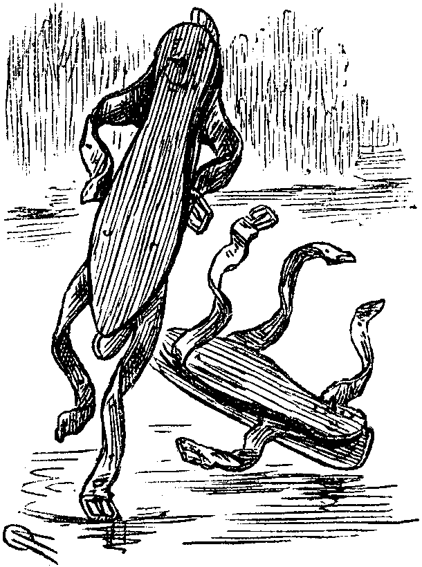 Skates skating.