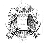 FIG. 44. WILMINGTON.