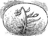 FIG 8. DARTFORD.