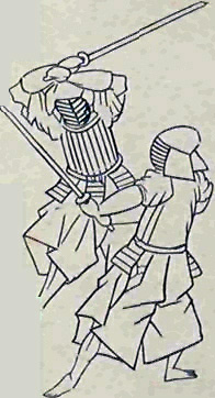 Yaconins fencing.