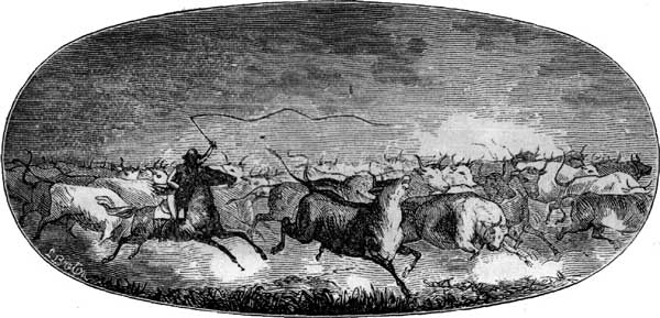 CATTLE-HUNTING