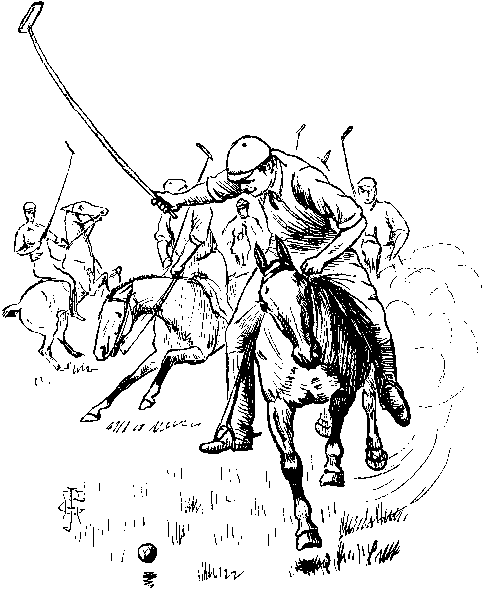 Polo on Castor.