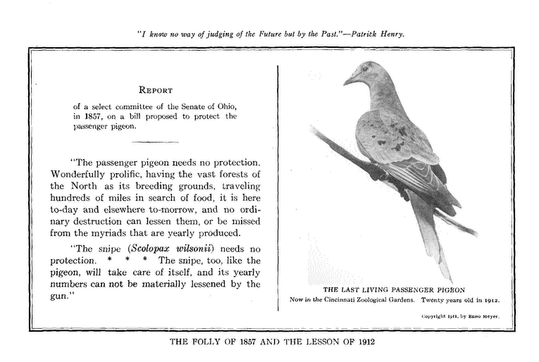 The Folly of 1857 and the lesson of
1912
