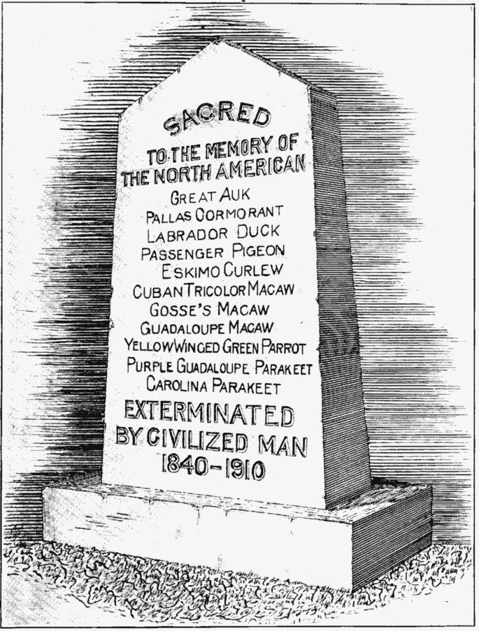 [SACRED TO THE
MEMORY OF THE NORTH AMERICAN Great Auk Pallas Cormorant Labrador Duck
Passenger Pigeon Eskimo Curlew Cuban Tricolor Macaw Gosse's Macaw
Guadeloupe Macaw Yellow Winged Green Parrot Purple Guadaloupe Parakeet
Carolina Parakeet EXTERMINATED BY CIVILIZED MAN 1840-1910] 