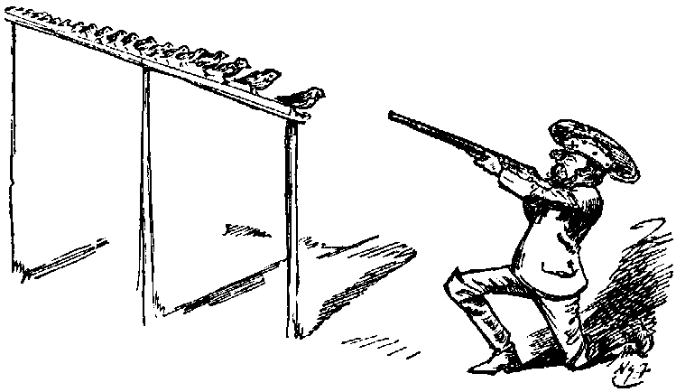 'What larks! Killed four-and-twenty blackbirds all in a row! at one shot!!!'