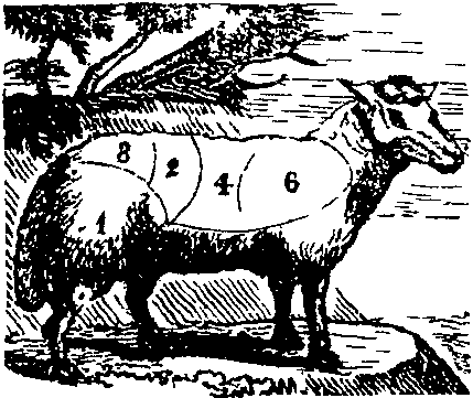 Mutton.