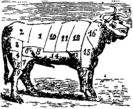 Beef.