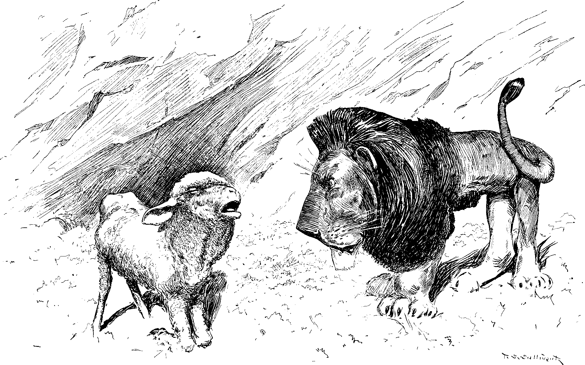 The Baa-Sheep and the Lion