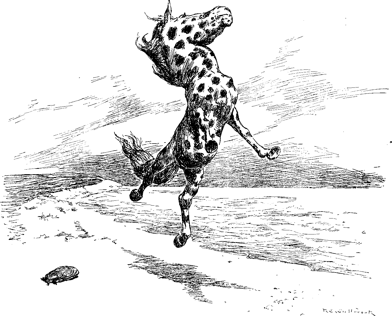 The Horse and the Oyster