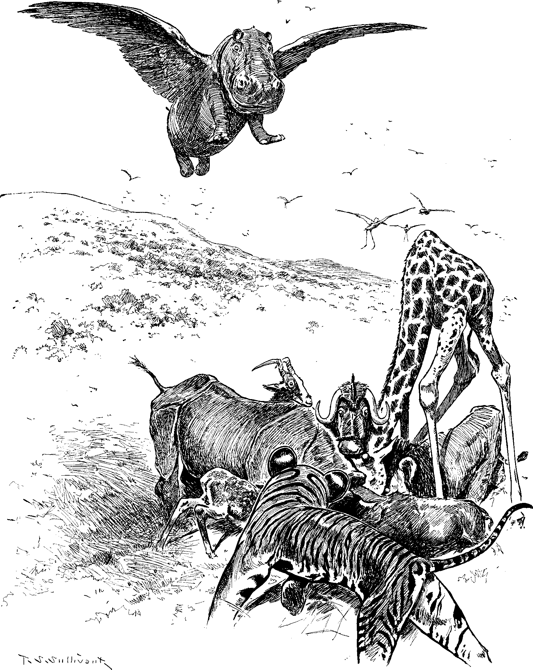 The Ambitious Hippopotamus