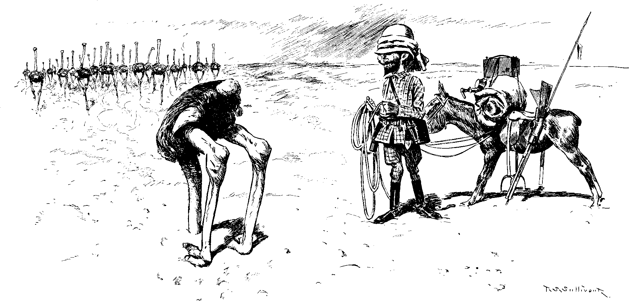 On the Not-Altogether-Credible
Habits of the Ostrich