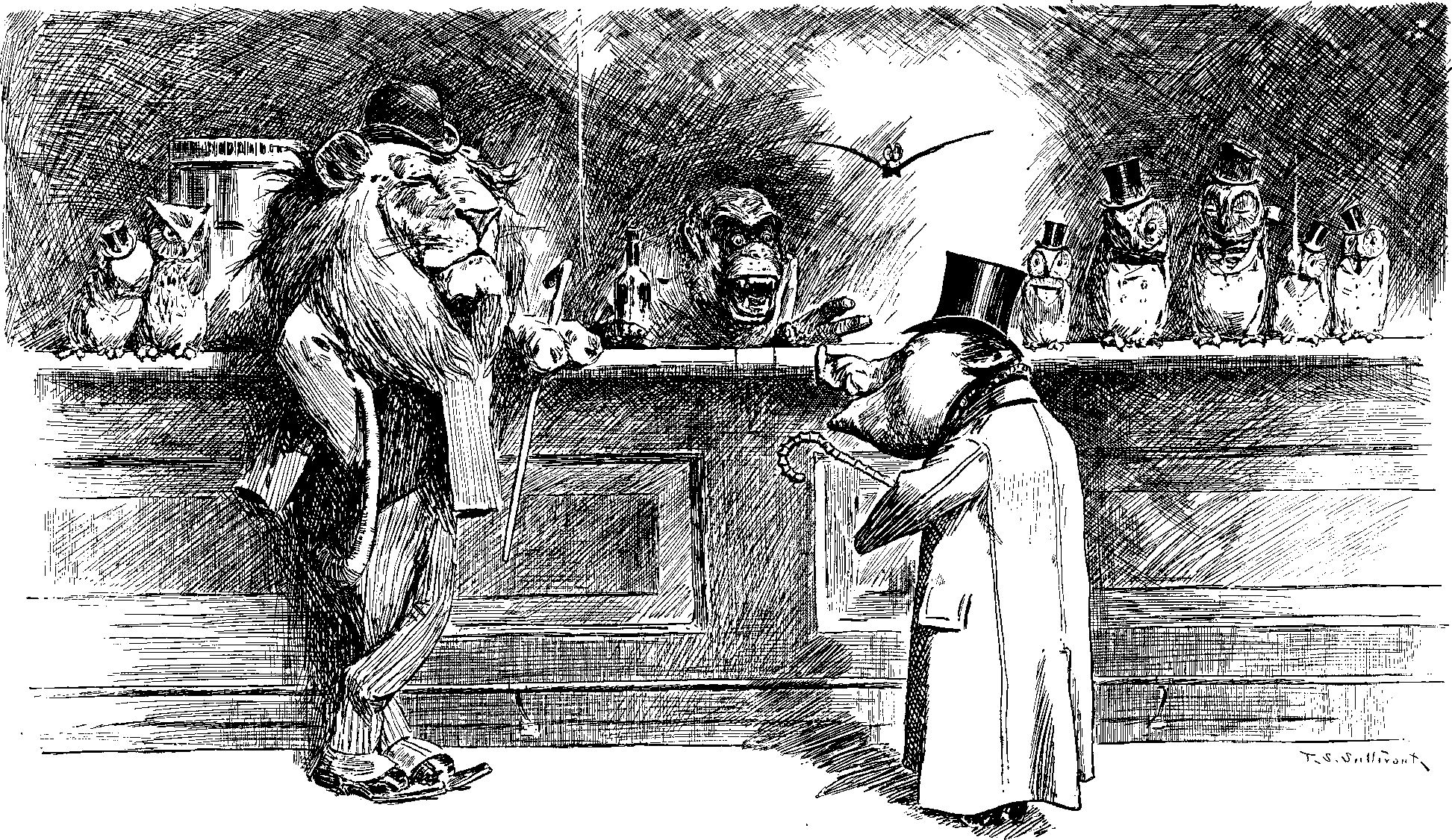 The Lion and the Boar
