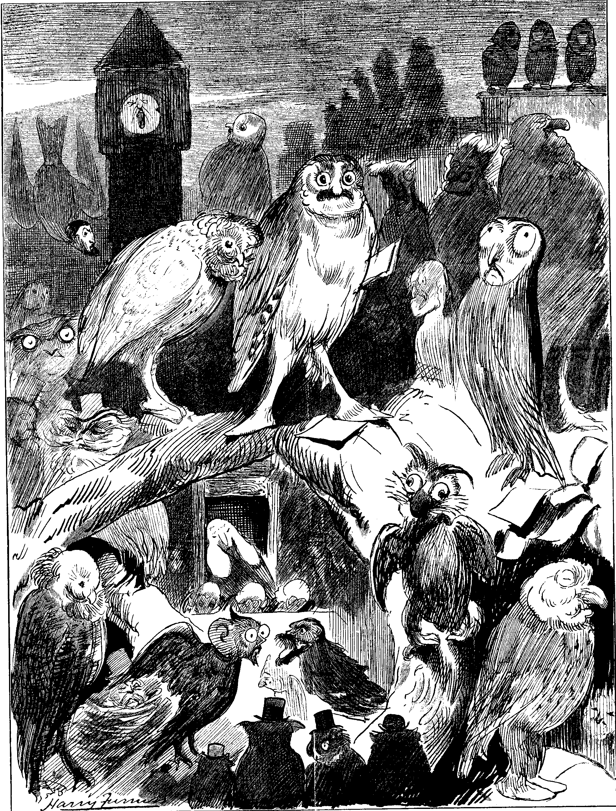 PARLIAMENTARY NIGHT-BIRDS.