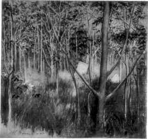 CONCORD CEMETERY.