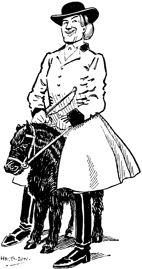 DIANA OF THE LANE.