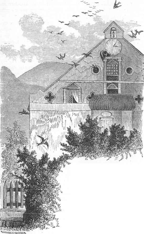 SCHLOSS SCHWALBEN.