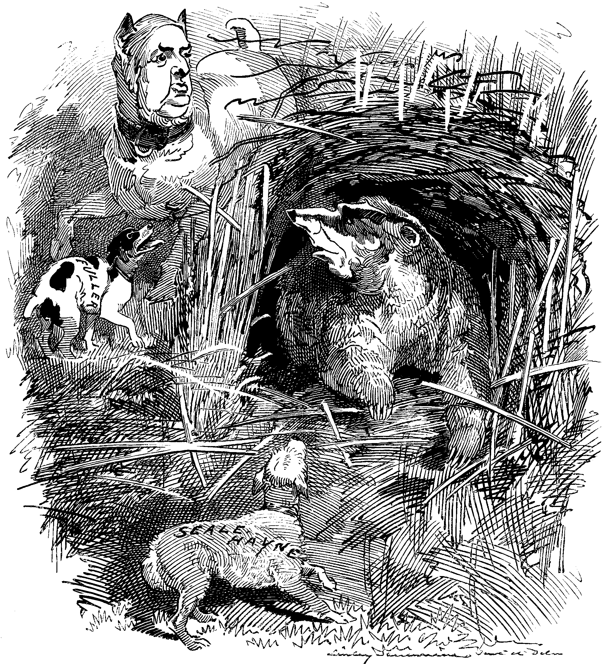 The Badger