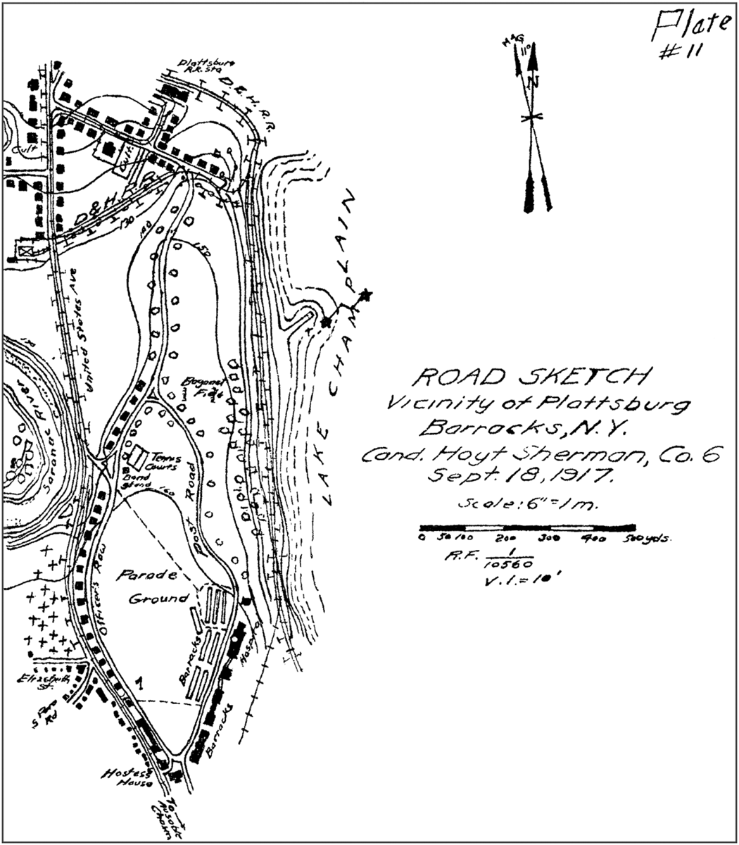 Plate 11