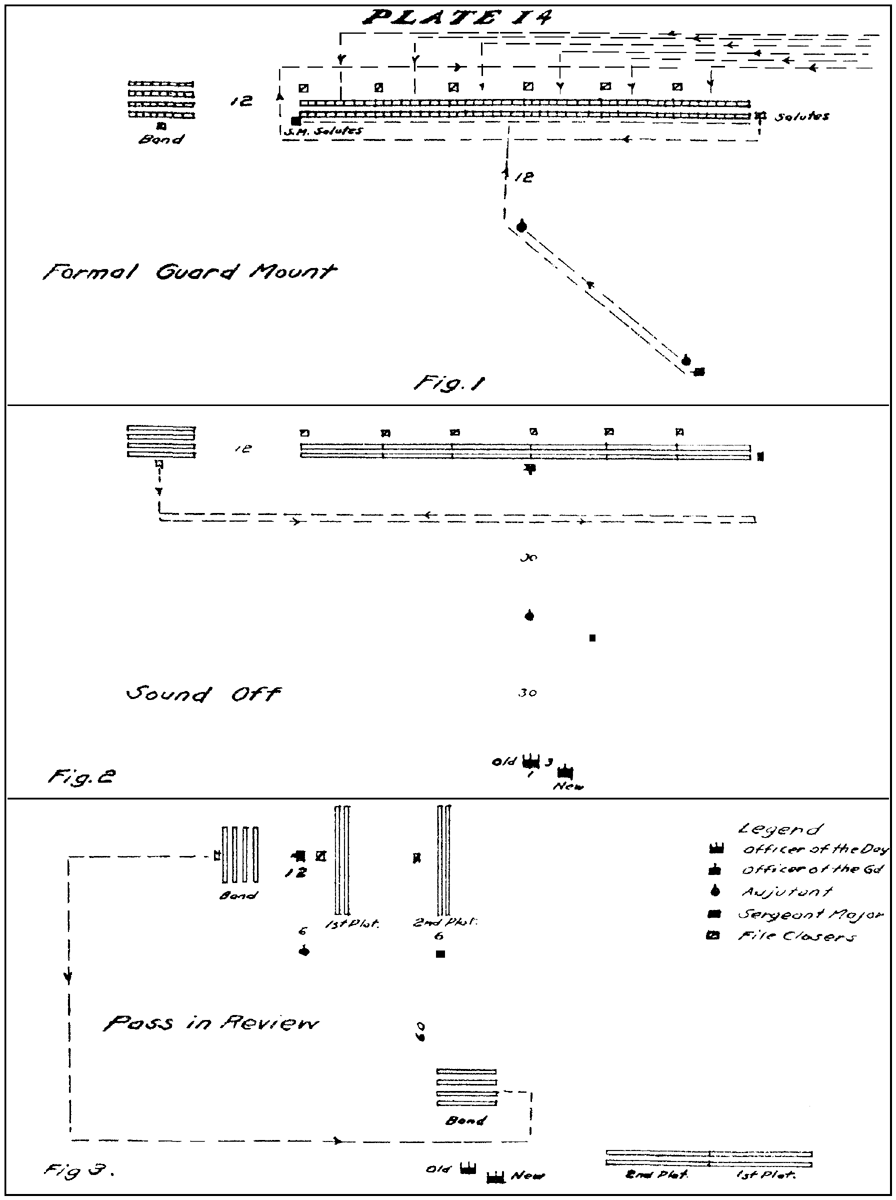 Plate 14