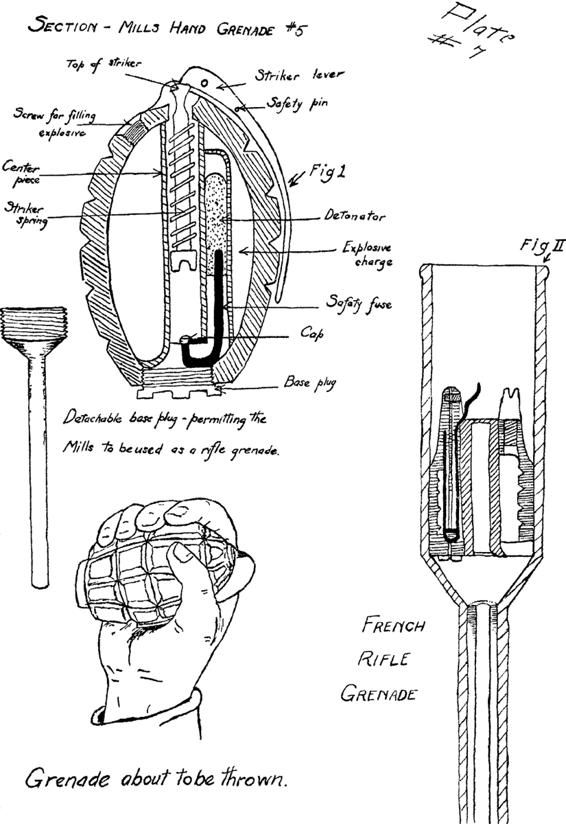 Plate 7: Hand Grenade