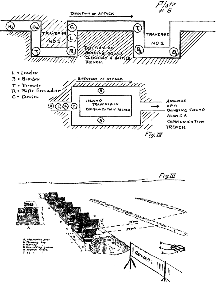 Plate 8