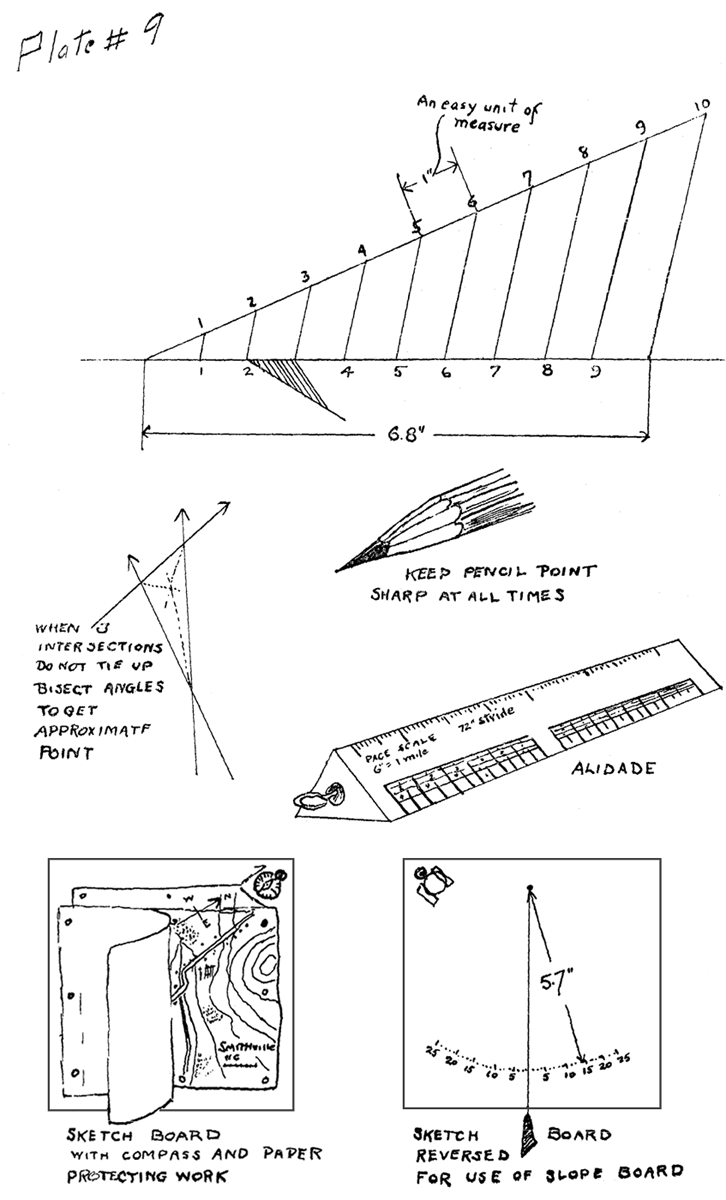 Plate 9