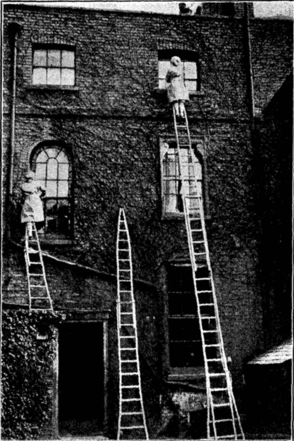 WINDOW CLEANERS