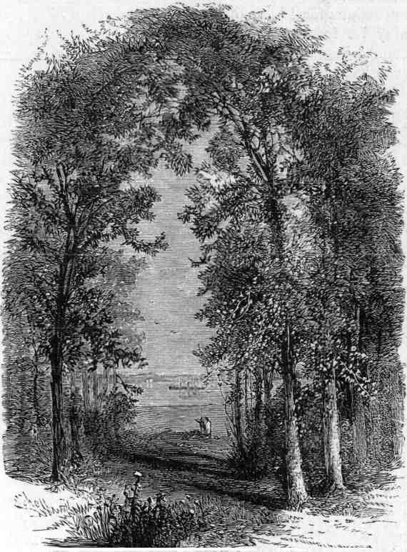 VIEW OF DELAWARE RIVER NEAR CLAYMONT.