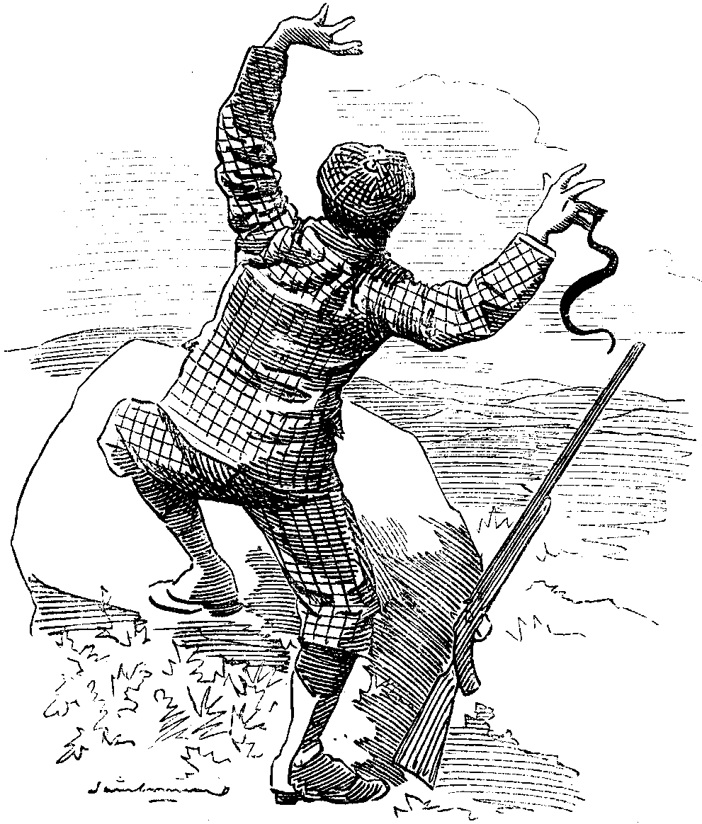 'I had been bitten by an Adder.'