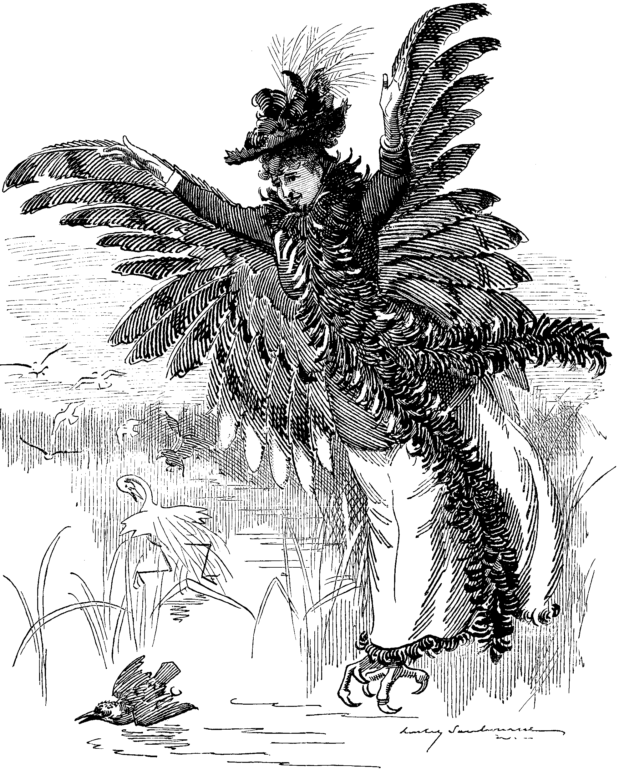 A BIRD OF PREY.