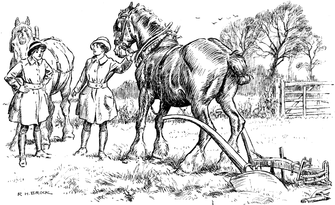 Ask the farmer if we can have a smaller horse.