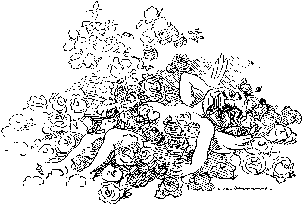 First Prize—Love among the Roses.