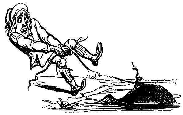 A fellow trying to pull a hog from a lake, but the rope broke