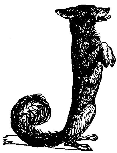 The Letter J formed by a dog sitting up in begging position