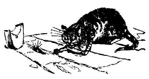 A cat waits for a mouse.