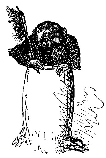A small black man standing in a bag, holding a brush.