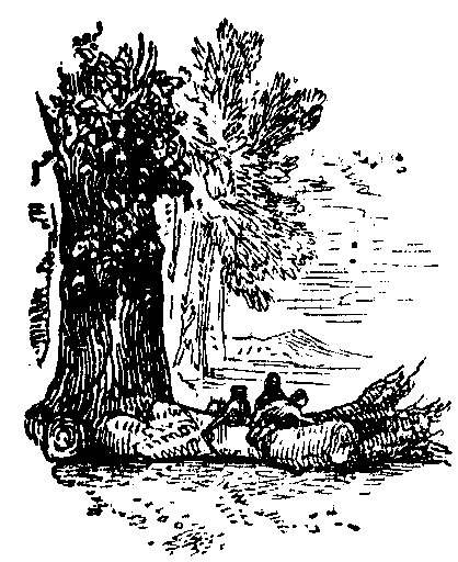 Sawyers in the woods form a letter L.