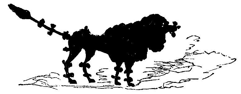 A poodle.